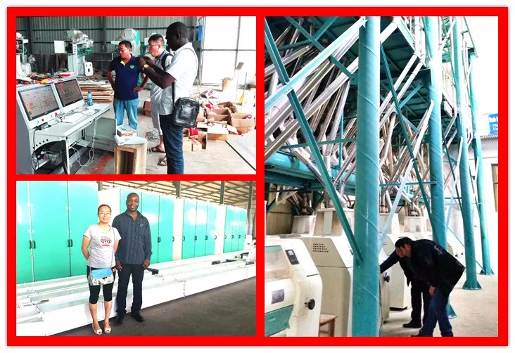 Installed Africa maize milling machine of 20Tons per 24h  1