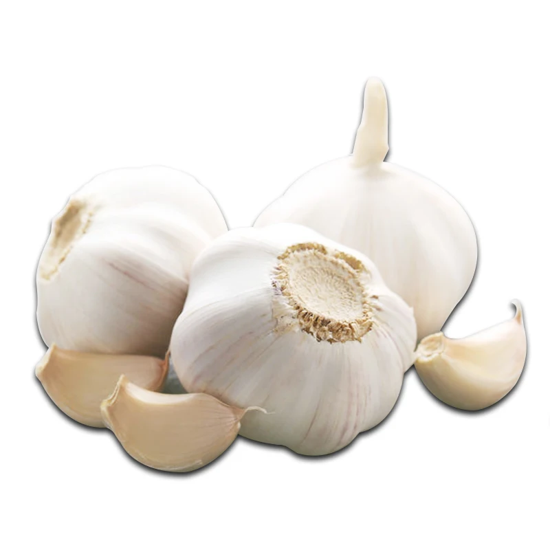 China Good Farmer Garlic Cheap Price - Buy Garlic China,Garlic ...