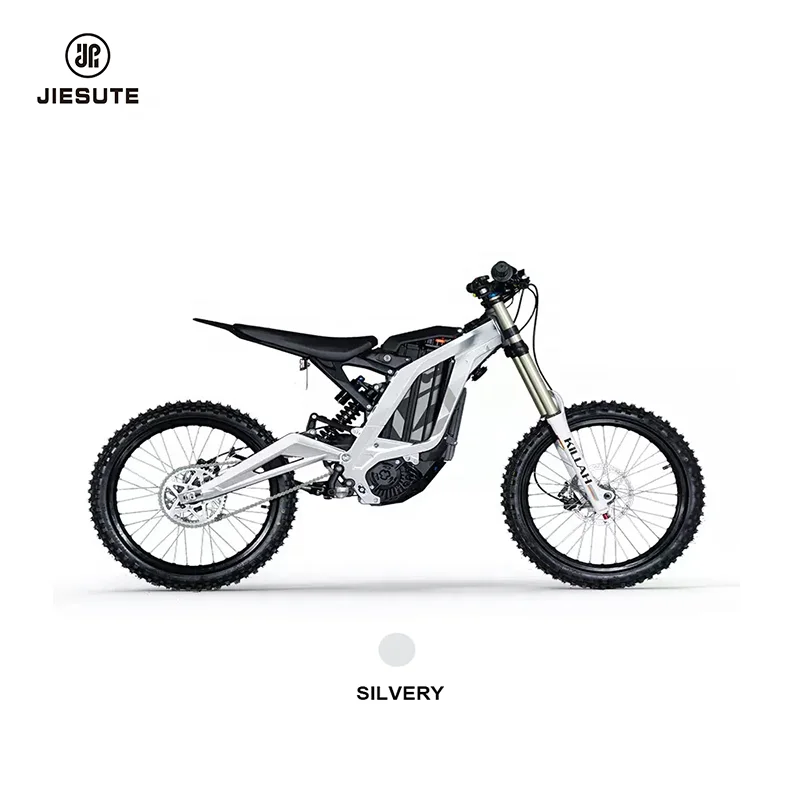 High Torque Brushless DC Motor  Lighting System Electric Motorcycle Scooter