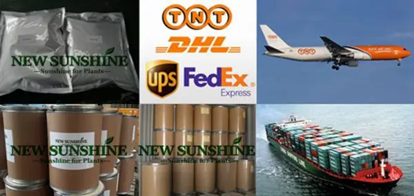 Sample shipment and sea shipment