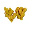 bulk fresh ginger at wholesale price for sale