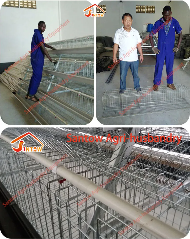 Hot Galvanized Chicken Poultry Cages Cold Galvanized Chicken Layer Cage Best Quality For Sale Nigeria Africa