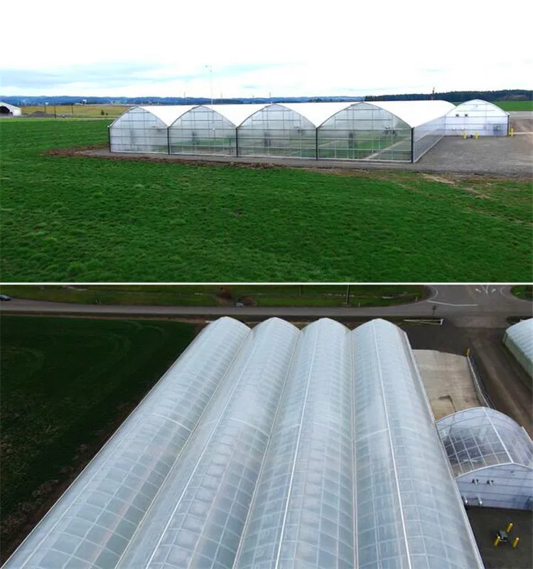 greenhouses irrigation