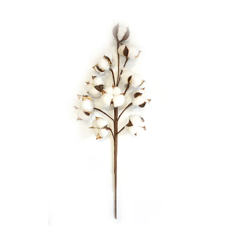 
21inch New designs Natural artificial dried flowers decorative flowers bionic balls natural cotton stems wholesale 3 pack 6 