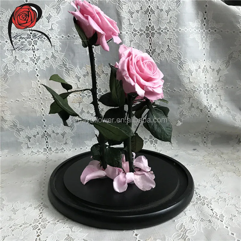 Hot Sell Beauty And The Beast Preserved Rose With Stem In Glass