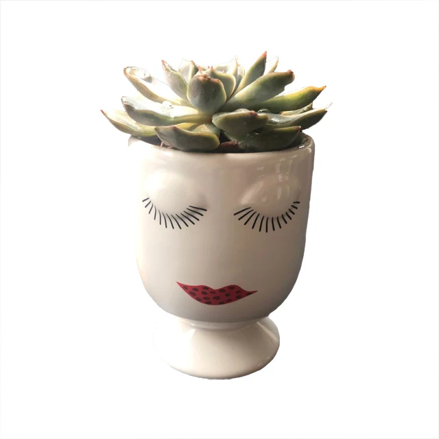 terracotta  face plant pot succulent plant pot ceramic plant pot modern