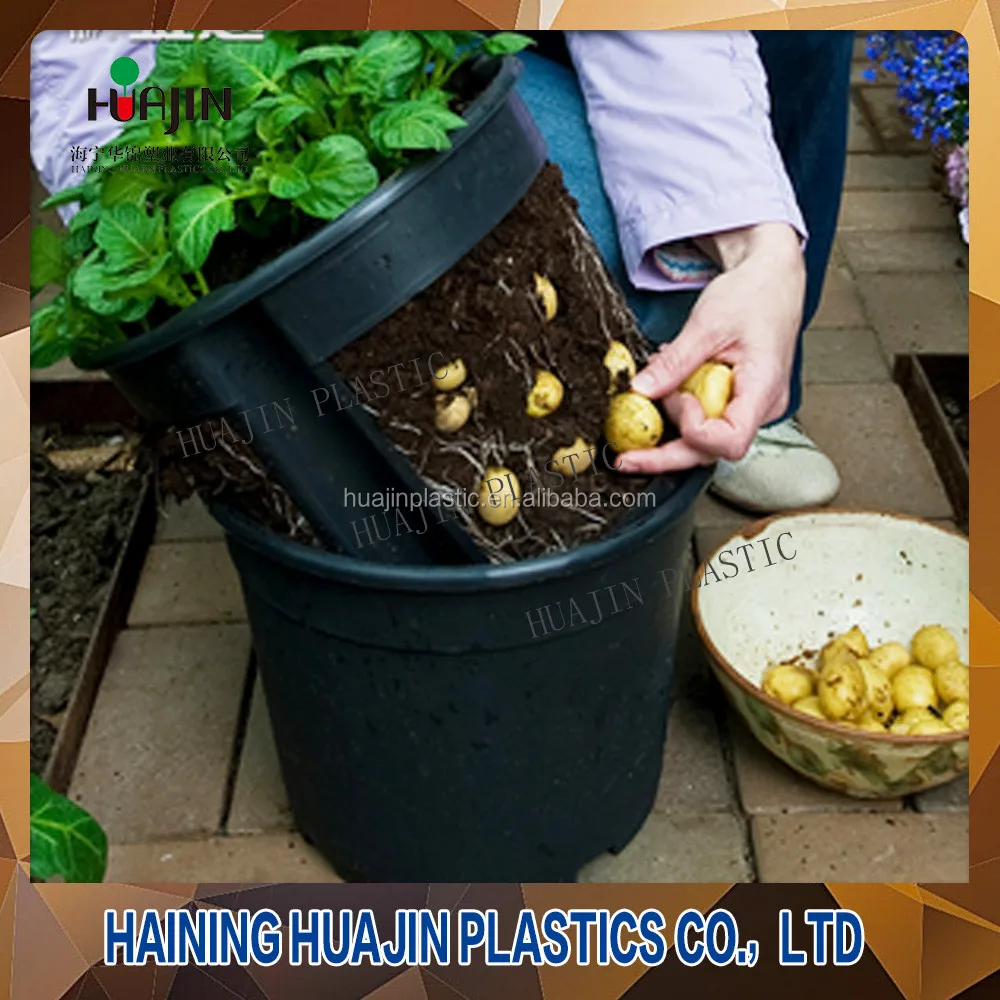 Whole Potato Planter Nurture Seedling Novelty Plant Pots Nursery Container Pot Product Whole Potato Planter Nurture Seedling Novelty Plant Pots Nursery Container Pot Product