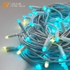 NEW design smart string lights LED fairy lights