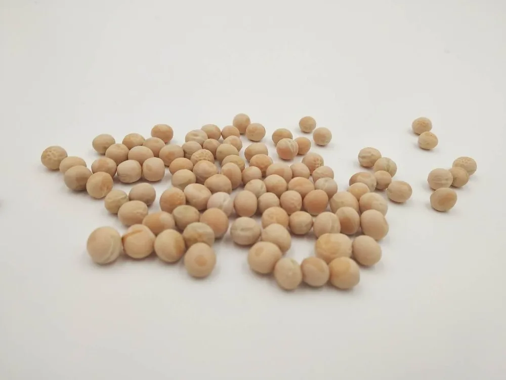 
Bulk and Wholesale Organic Pea Protein Isolate 