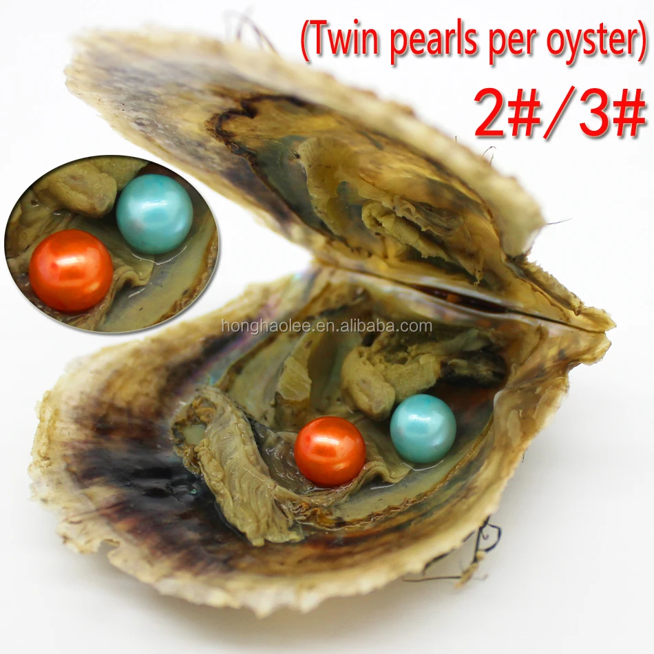 

Wholesale 2 # and 3 # twin pearl party gift DIY wholesale vacuum packaging AAAA6-7mm round Akoya pearl oyster shell