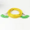 12 Core bundle SC/APC fiber optic patch cord breakout cable