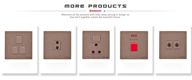Songri Brand switch socket wall 2 gang switch 2 pin socket