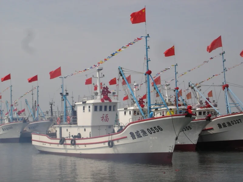 8 中国制造新的商业娱乐最好的 frp 渔船玻璃纤维拖网出售