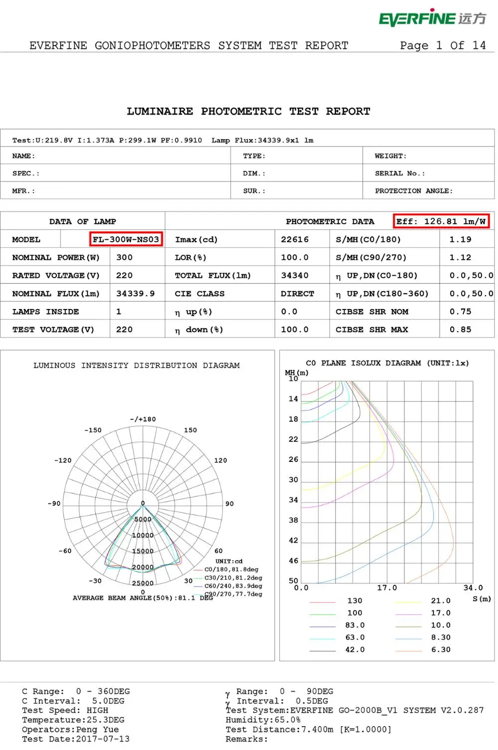 FL-300W-NS03 EN-1.jpg