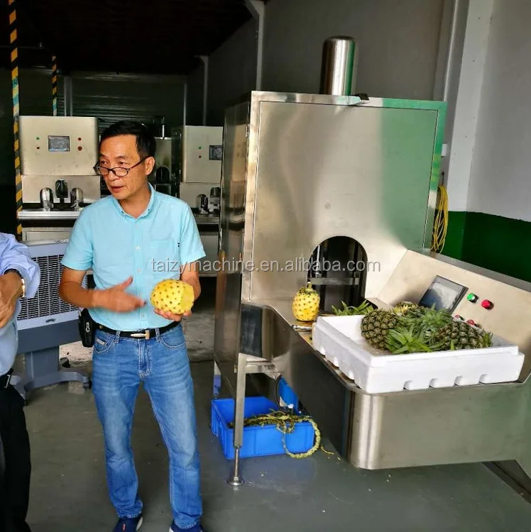 Del Monte Automatic Pineapple Peeler Corer Machine Pineapple Peeling Machine - Efficient & Automatic Solution