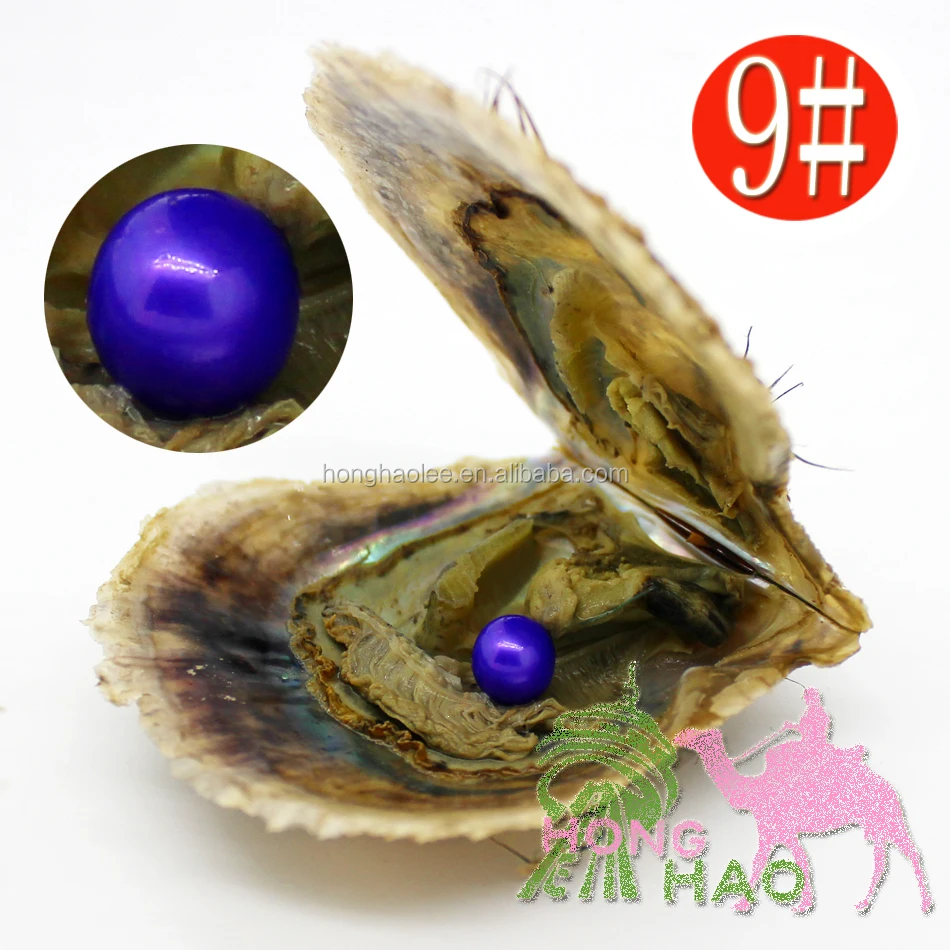 

AAAA grade 6-7mm color #9 vacuum packed oysters akoya pearl oyster saltwater pearl oyster many colours stock free shipping, N/a