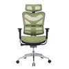 Full Mesh Ergonomic Office Chair Executive Ergonomic Office boss Chair with lumbar support