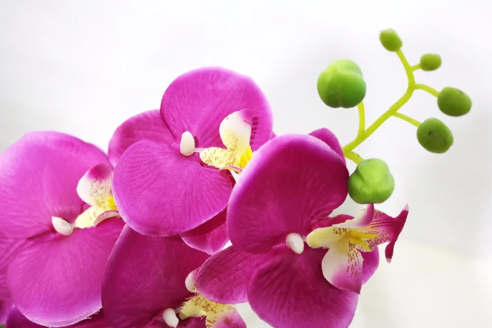 Weddings Chicago Botanic Garden