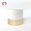 Ochid and succulent plant ceramic flower pot