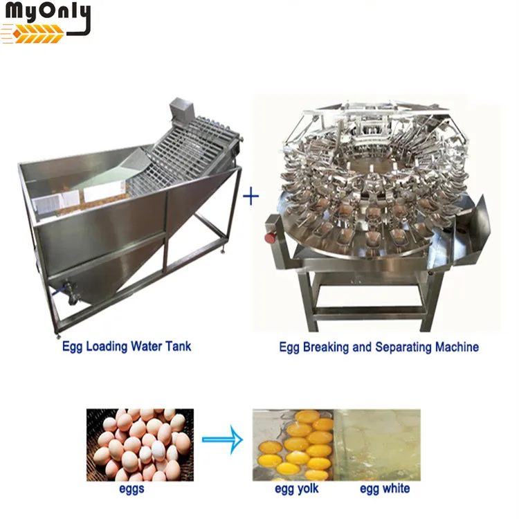 Egg White Separator Machine Buy Egg White Separator Machine,Egg Separator,Machine Egg
