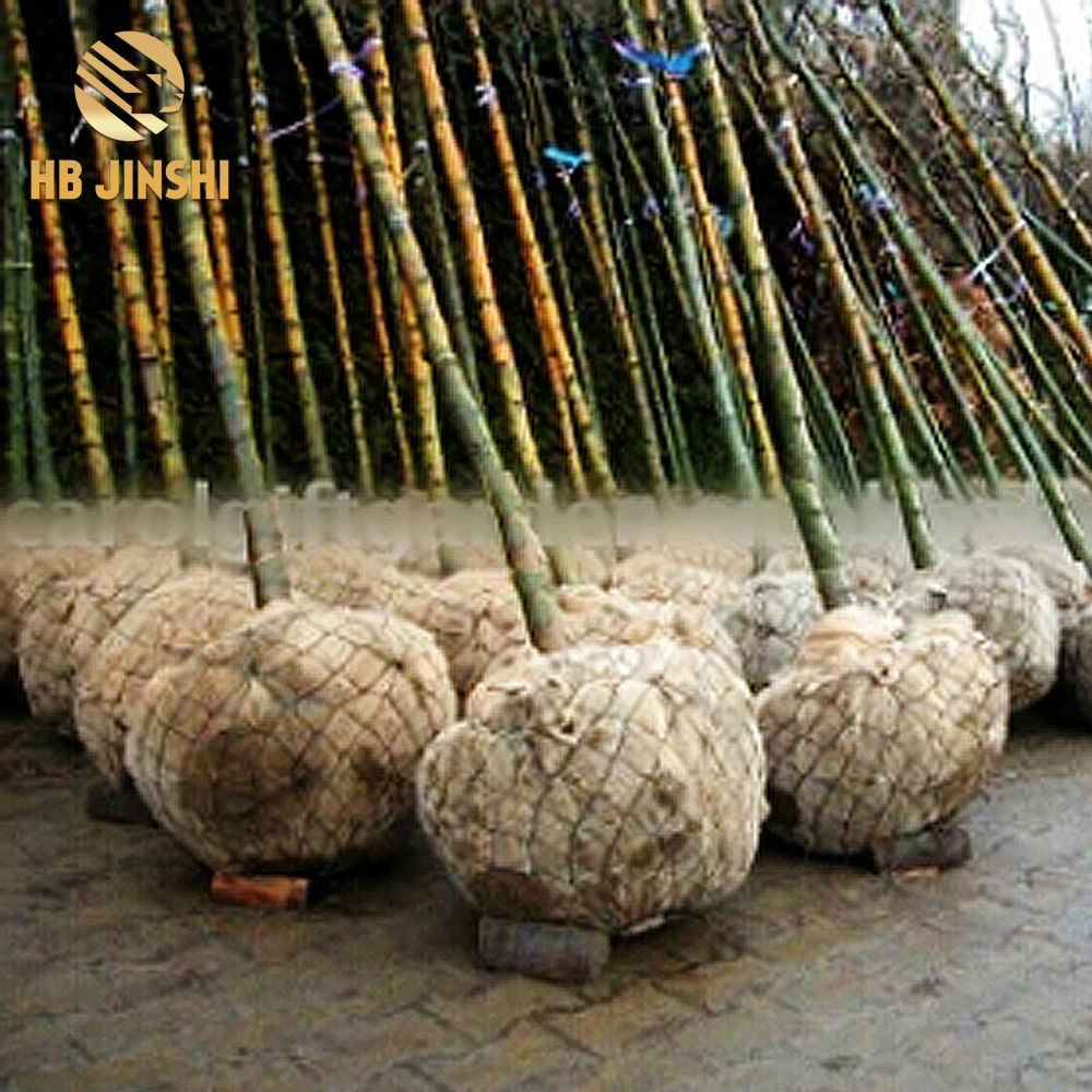 Chain Link Root Ball Wire Mesh Basket For Tree Transplant Tree Wire