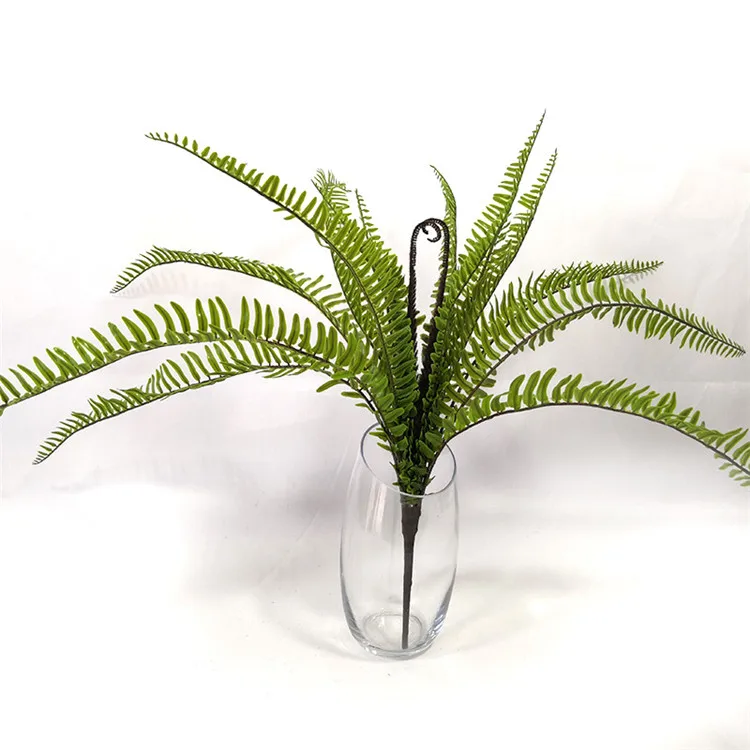 Persian Grass (1).jpg