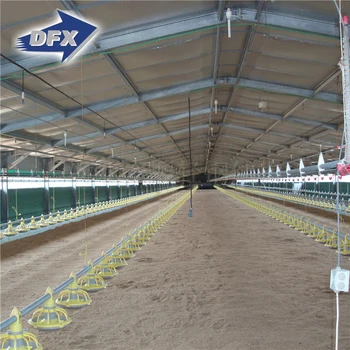 china low cost steel frame chicken layer duck breeding