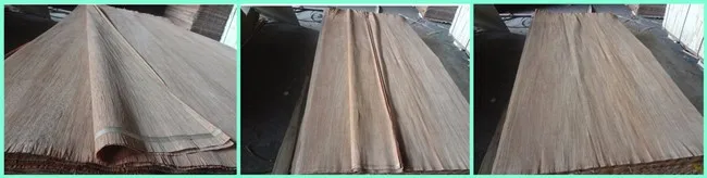 AB Grade Rotary Cut Natural PLB Wood Face Veneer For Plywood