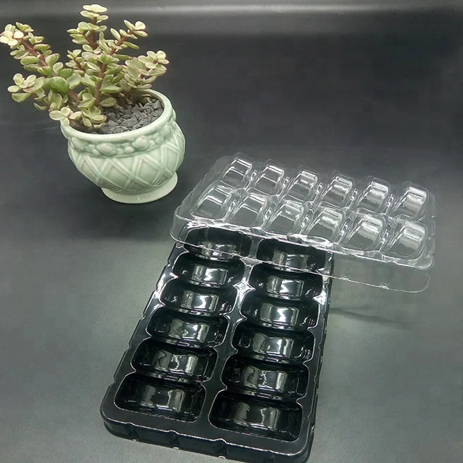 Recyclable Blister Pet Plastic Macaron Packaging Tray With Lid Buy