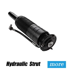 hydraulic strut.jpg