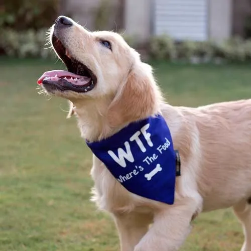 cute dog bandanas