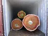 Iroko, mahogany, padauk, sapelli, doussie, pachyloba, wenge, bubinga, acajou, tali, teak logs, Sawn Lumber and deck