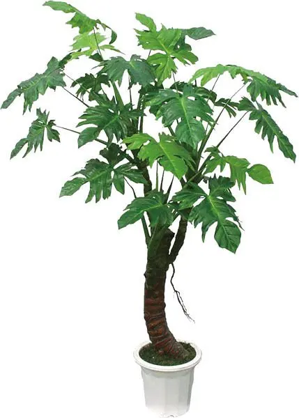 Planta artificial, filodendro de 150 cm, planta de interior - Comprar planta artificial, árbol artificial, producto de filodendro en Alibaba.com