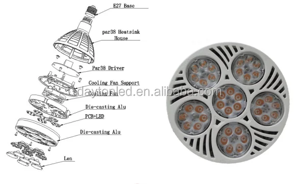 LED PAR38 light feature