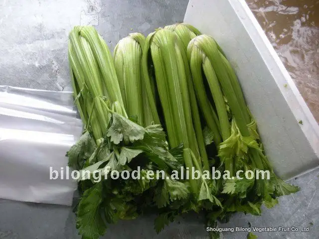 celery-1
