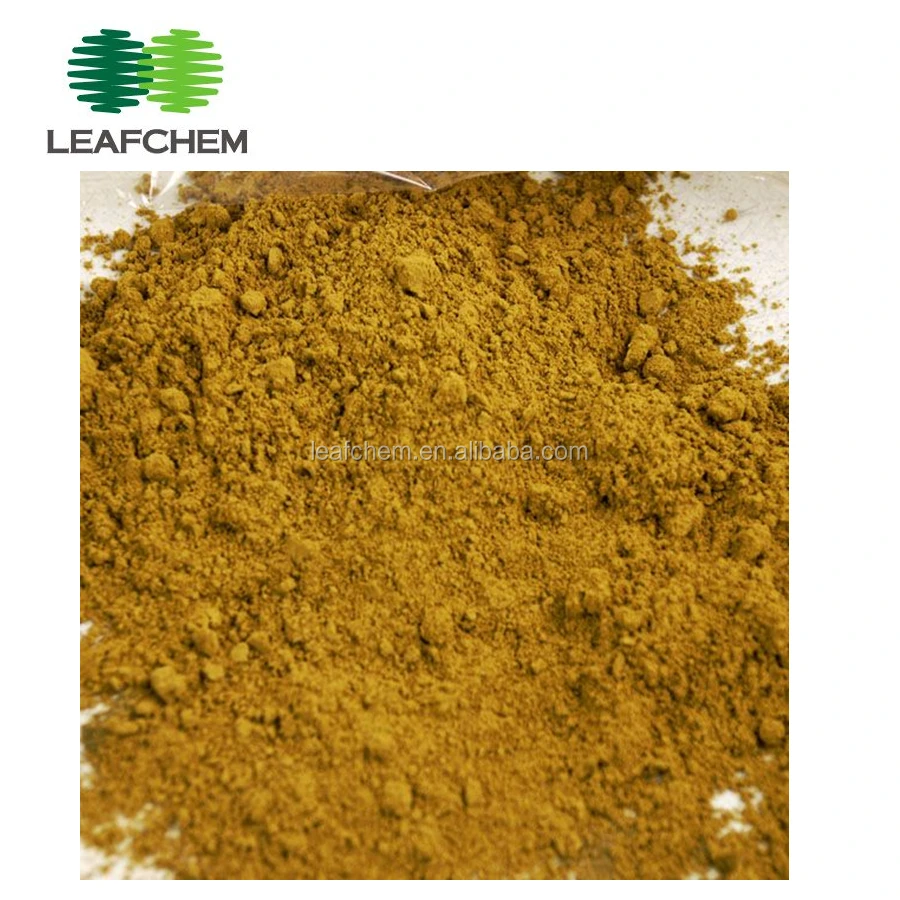 
Ginkgo Biloba Extract Powder, CAS No. 90045-36-6 