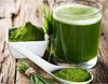 moringa oleifera oil benefits for Improve Immunity