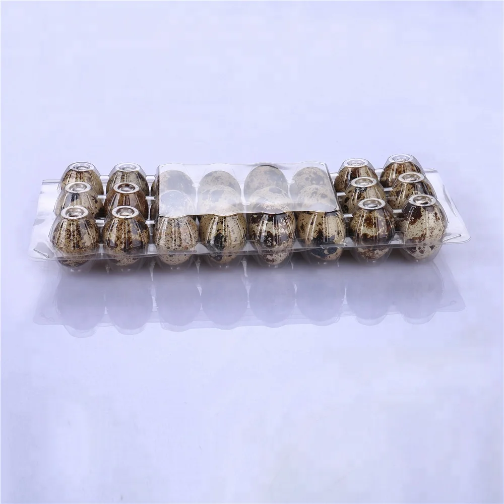 
quail egg tray plastic without buckle 