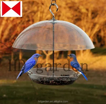Anti Squirrel Clear Feeder Easy Access Bird Feeder Buy Anti