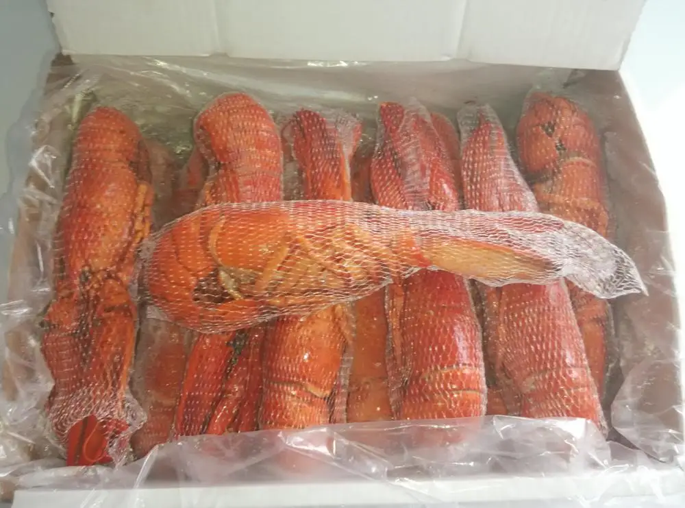 
Canadian Wild Caught Lobster 