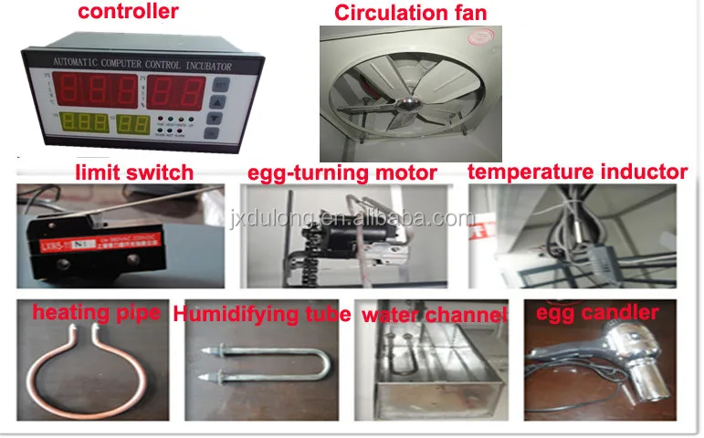 small incubator for chicken eggs