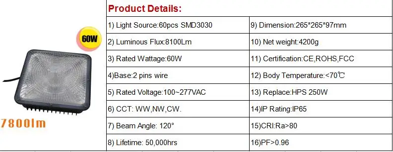 60W canopy light.jpg