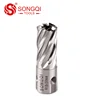 Universal Shank Magnetic Drill Annular Cutter Bit