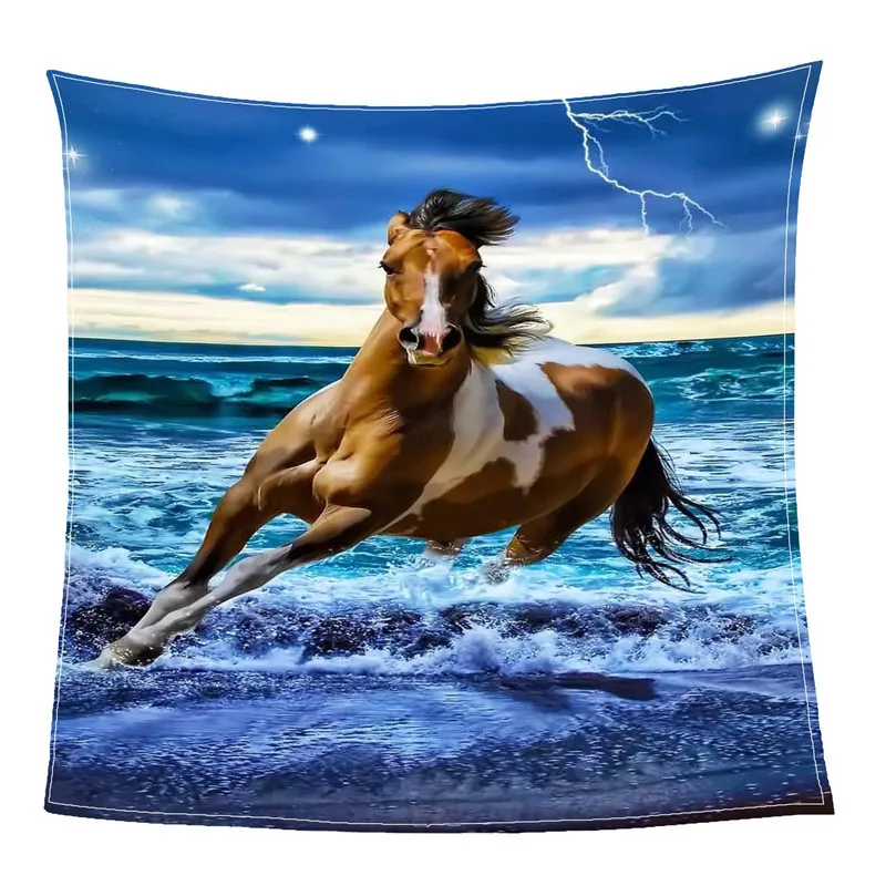 

New 2019 Custom made sublimation digital printed Anime character blanket