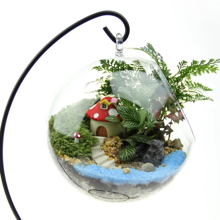 

Spherical shape glass hanging terrarium, Transparent