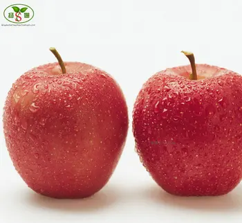 chinese fresh red juicy fuji apple