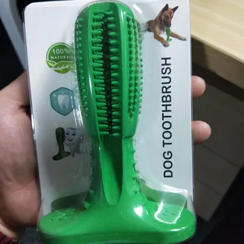 llewellin setter breeders near me