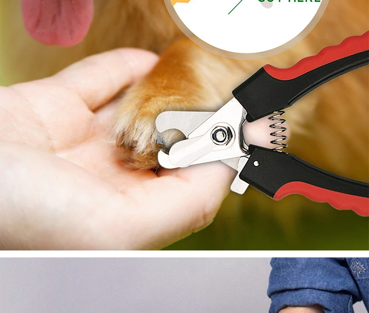 Wholesale Factory Production Cute Professional Stainless Steel Dog Nail