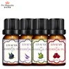 Private Label 10ml bottle aromatherapy Essential Oil Set