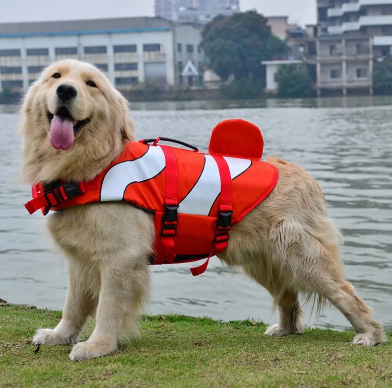 best dog life jacket 2018